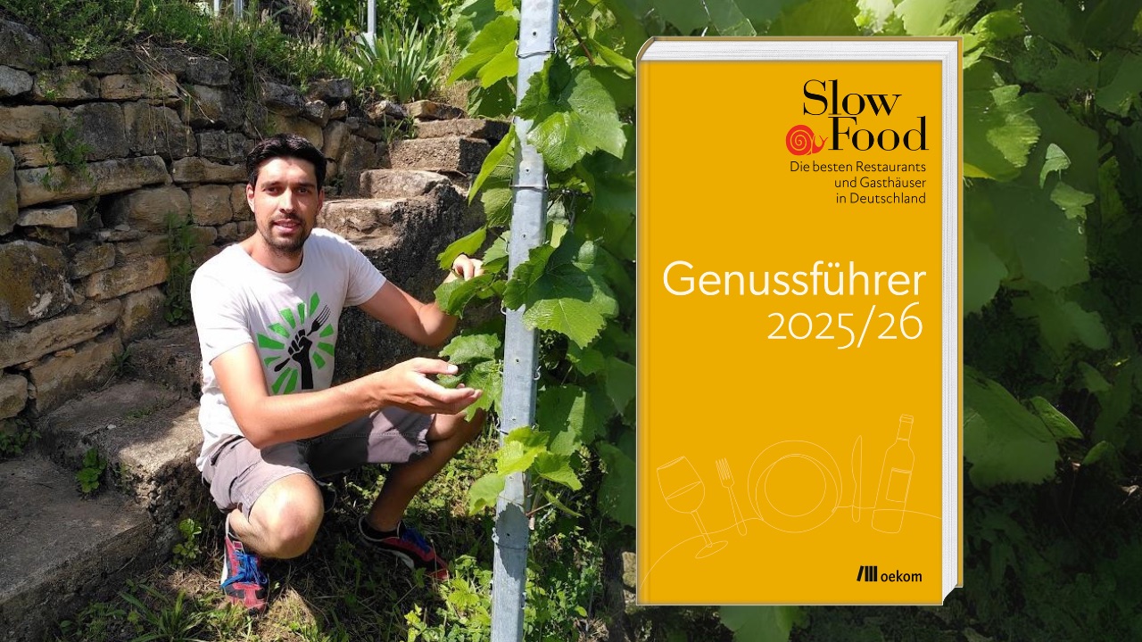 Genussführer-Herausgeber Ingo Plessing kniet in einem Weinberg. Neben ihm ist das gelbe Cover des Slow Food Genussführers zu sehen