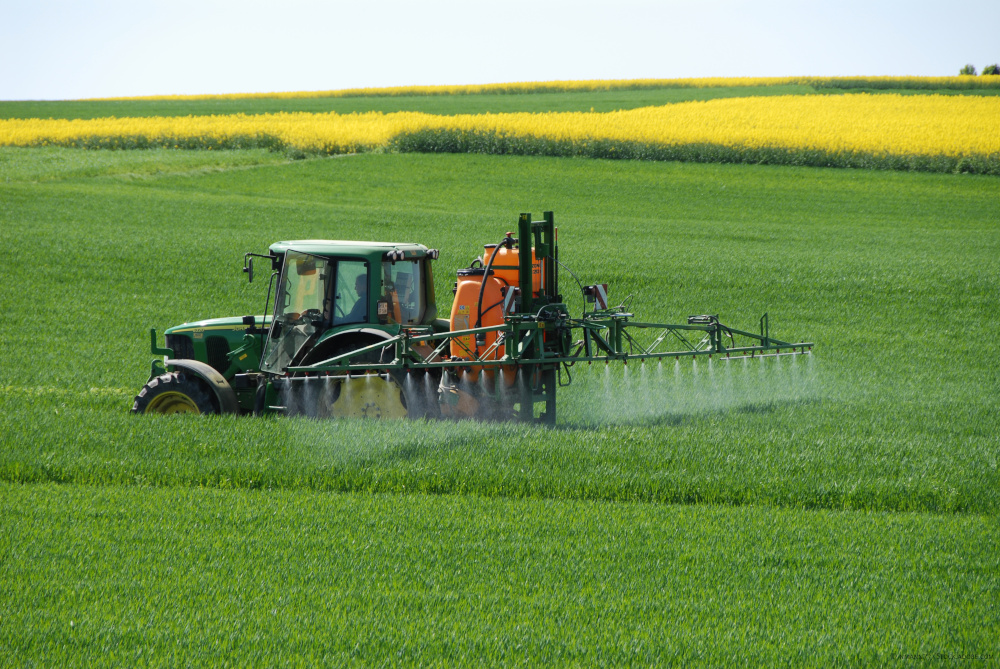 Ein Traktor versprüht Pestizide über Raps- udn Getreidefeldern